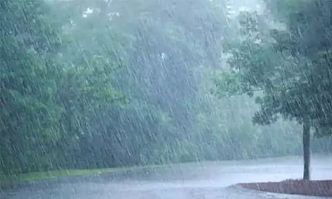 தஞ்சை மாவட்டத்தில் ஒரே நாளில் 299 மி.மீ. மழை பதிவு