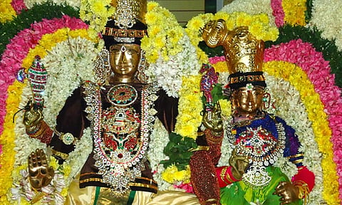 சிவன் பாதி... விஷ்ணு பாதி... சங்கரன்கோவில் சிறப்புகள்