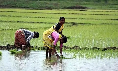 காஞ்சிபுரத்தில் 26ம் தேதி விவசாயிகள் நலன் காக்கும் நாள் கூட்டம்