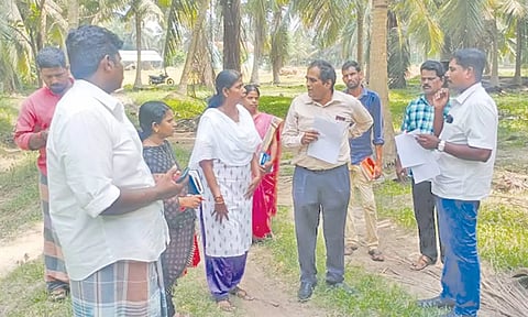 கொப்பரை தேங்காய் கொள்முதல் குறித்து வேளாண்மை இணை இயக்குனர் (வணிகம்) முரளிதரன் விவசாயிகளிடம் கேட்டறிந்தார்.