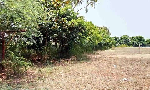 மைதானத்தைச் சுற்றிலும் புதர் மண்டி உள்ளதை படத்தில் காணலாம். 