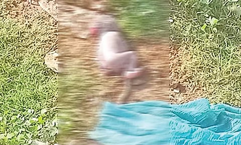 சாலையோரத்தில் வீசப்பட்ட பச்சிளம் குழந்தை உடல்.