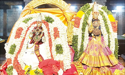 ஜம்புகேஸ்வரர், அகிலாண்டேஸ்வரி சிறப்பு அலங்காரத்தில் பக்தர்களுக்கு காட்சியளித்ததை படத்தில் காணலாம்.