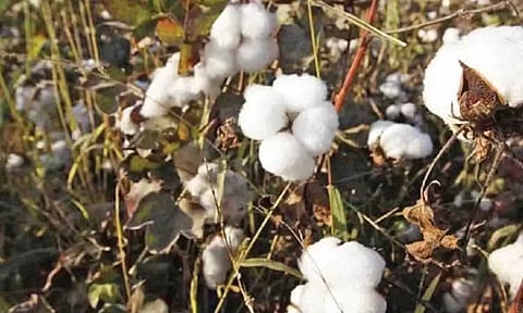 கோப்புபடம்