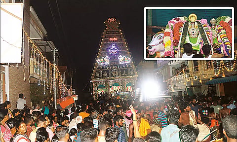 பாடலீஸ்வரர் கோவிலில் தெருவடைச்சான் உற்சவம்: திரளான பக்தர்கள் சாமி தரிசனம்