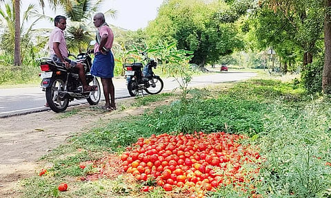 போதிய விலை கிடைக்காததால் சாலையோரம் கொட்டப்பட்டுள்ள தக்காளி பழங்கள்.