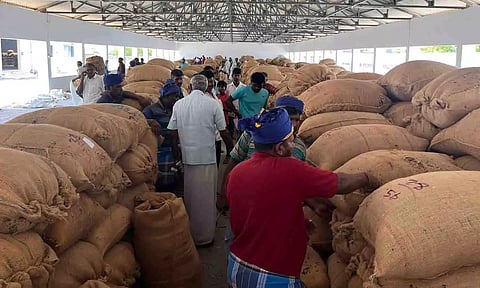  சூரியகாந்தி விதை ஏலம் நடைபெற்ற காட்சி.