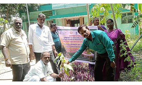  மரக்கன்றுகள் நடும் காட்சி