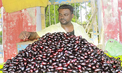 டவுன் காட்சி மண்டபம் அருகில் விற்பனைக்கு குவித்து வைக்கப்பட்டுள்ள நாவல்பழங்களை படத்தில் காணலாம்.