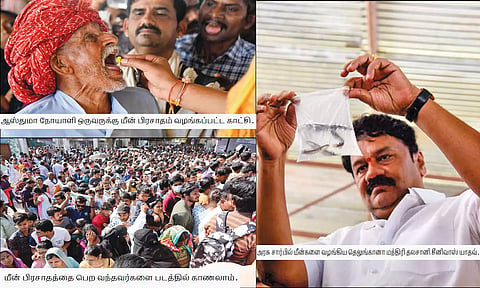 ஐதராபாத்தில் ஆஸ்துமா நோயாளிகளுக்கு மீன் 'பிரசாதம்': 3 ஆண்டுகளுக்கு பிறகு மீண்டும் தொடங்கியது
