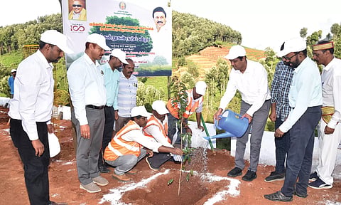நீலகிரியில் 1000 மரக்கன்றுகள் நடவு