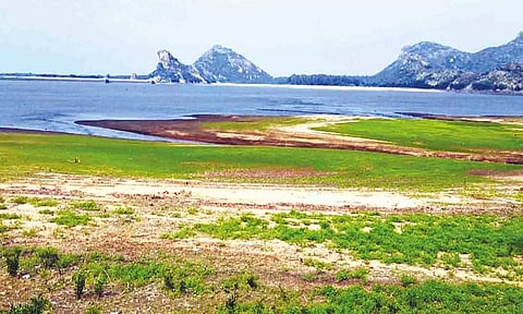 நீர்வரத்து இல்லாமல் வறண்டு கிடக்கும் திருமூர்த்தி அணை.