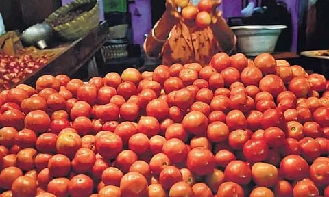 தக்காளி விற்பனை செய்யப்பட்ட காட்சி. 