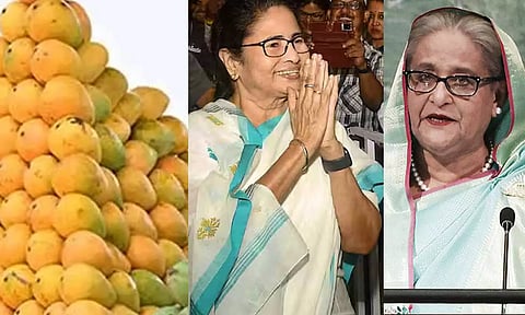 மம்தா பானர்ஜிக்கு 600 கிலோ மாம்பழங்களை அனுப்பிய வங்காளதேச பிரதமர்