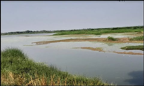 வீராணம் ஏரியில் நீர்மட்டம் குறைவாக உள்ள காட்சி