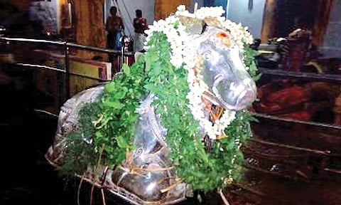 செங்கோட்டை குலசேகரநாதர் கோவிலில் பிரதோஷ வழிபாடு