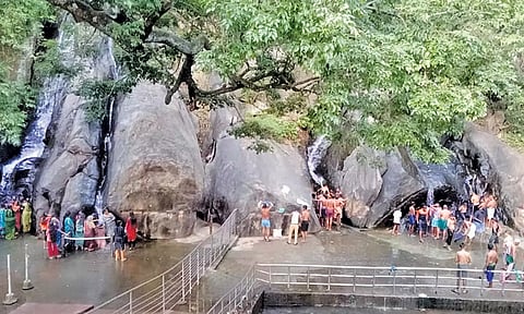 ஐந்தருவியில் நான்கு கிளைகளில் மிதமான தண்ணீர் விழுவதையும் அதில் சுற்றுலா பயணிகள் குளித்து மகிழ்வதையும் காணலாம்.