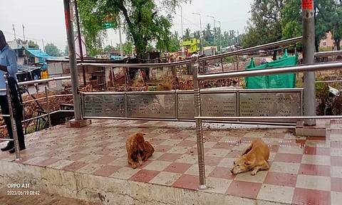 மடப்பட்டு பஸ் நிறுத்த பயணியர் நிழற்குடையில் வைக்கப்பட்டிருந்த இரும்பு சேர்கள் திருடப்பட்டது, இதனால் பயணிகள் பயணியர் நிழற்குடை சேர்கள் இன்றி வெறிச்சோடி உள்ளதை படத்தில் காணலாம்.