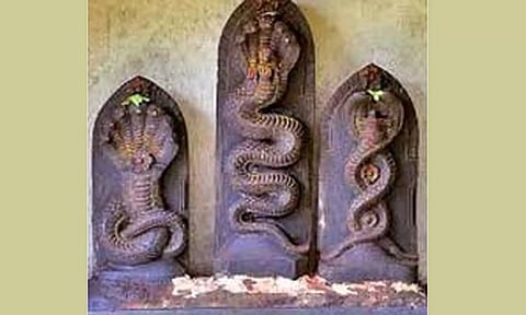 ஜாதக அமைப்பு படி நாக தோஷம்
