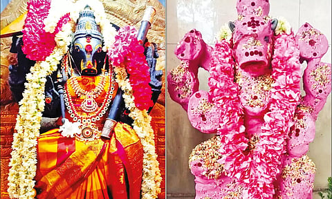 ஆஷாட நவராத்திரி: வராஹி அம்மன் கோவிலில் சிறப்பு ஹோமம்