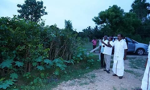 மரம் வளர்ப்பு பணிகளை அமைச்சர் மெய்யநாதன் ஆய்வு