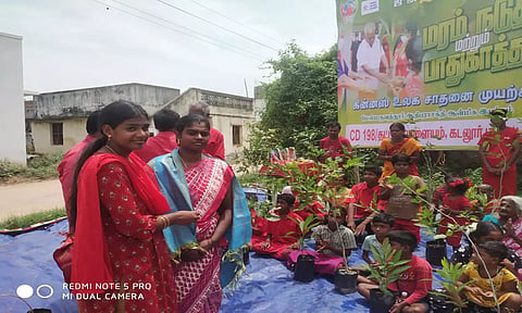 தட்டாம் பாளையத்தில் மேல்மருவத்தூர் ஆதிபராசக்தி செவ்வாடை கலந்து கொண்டுமரக்கன்றுகள் நட்டனர்.