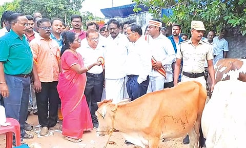 கால்நடை சிறப்பு மருத்துவமுகாமை கலெக்டர் மகாபாரதி பார்வையிட்டனர்.