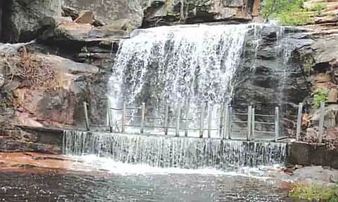 கோப்பு படம்