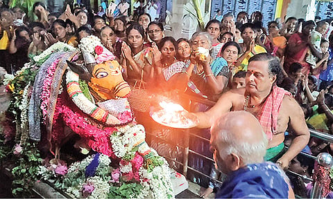 விளாத்திகுளம் மீனாட்சி சுந்தரேஸ்வரர் கோவிலில் சனி பிரதோஷம்