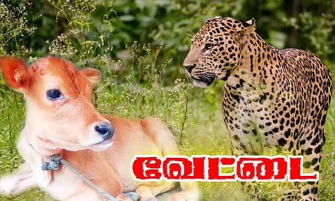 கோப்பு படம்