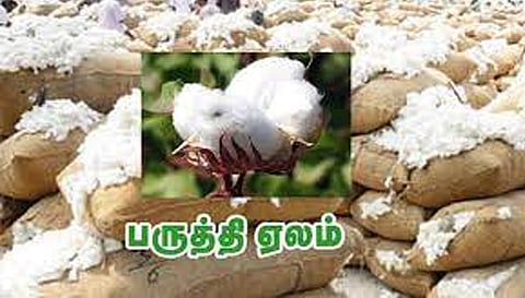 திருச்செங்கோட்டில் ரூ.11.64 லட்சத்துக்கு பருத்தி ஏலம்