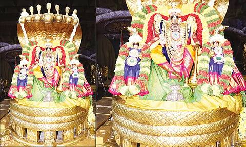 பெரிய சேஷ வாகனத்தில் உற்சவர்கள் எழுந்தருளி பக்தர்களுக்கு அருள்பாலித்த காட்சி.