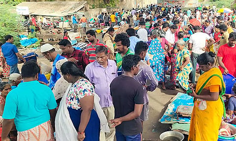 வரத்து குறைவால் கடலூரில் மீன்கள் விலை உயர்வு: பாறை மீன்கள் ரூ.500-க்கு விற்பனை