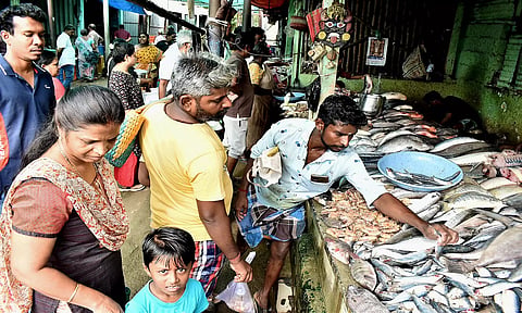 கடல் மீன்கள் விற்பனை நடந்த போது எடுத்த படம்.