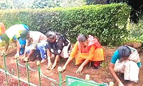 குன்னூர் சிம்ஸ் பூங்காவில் மலர் நாற்று நடவு பணி தொடக்கம்