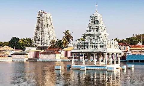 சுசீந்திரம் கோவிலில் ஆடி மாத பிறப்பையொட்டி சாமிகள் வாகன பவனி இன்று நடக்கிறது