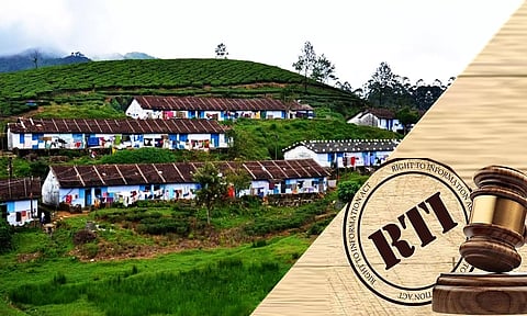 மாஞ்சோலைக்கு அரசு பஸ்சில் செல்ல சுற்றுலா பயணிகளுக்கு தடை இல்லை- தகவல் அறியும் உரிமை சட்டத்தில் போக்குவரத்து கழகம் அறிவிப்பு