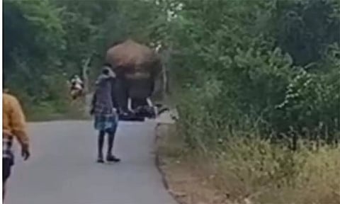 மோட்டார்சைக்கிளை அடித்து நொறுக்கும் காட்டு யானை.