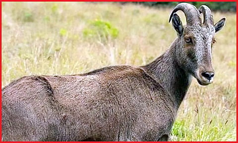 கோப்பு படம்.