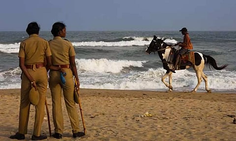 மெரினா கடற்கரை குதிரைகளுக்கு லைசென்ஸ்- தமிழக கால்நடை நலவாரியம் முடிவு