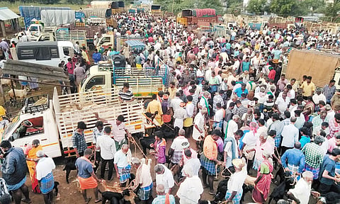 ஆட்டுச்சந்தையில் குவிந்த வியாபாரிகள், விவசாயிகள்.