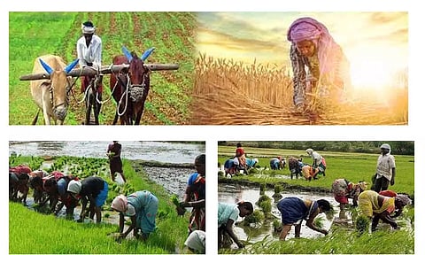அவிநாசியில் உழவர் உற்பத்தி நிறுவனம் கலெக்டர் திறந்து வைத்தார்