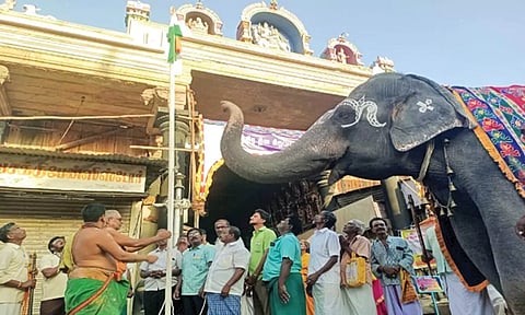 நெல்லையப்பர் கோவில் முன்பு தேசிய கொடிக்கு மரியாதை செய்த காந்திமதி யானை