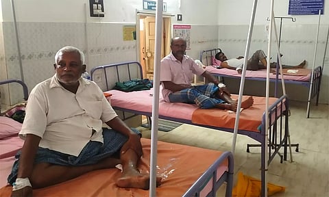 வெறிநாய் கடித்து 12 பேர் காயம்