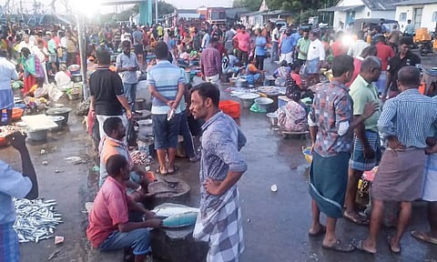 மீன் வாங்க திரண்ட பொதுமக்களை படத்தில் காணலாம்.