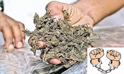கஞ்சா விற்ற 2 வாலிபர்கள் கைதுகஞ்சா விற்ற 2 வாலிபர்கள் கைது