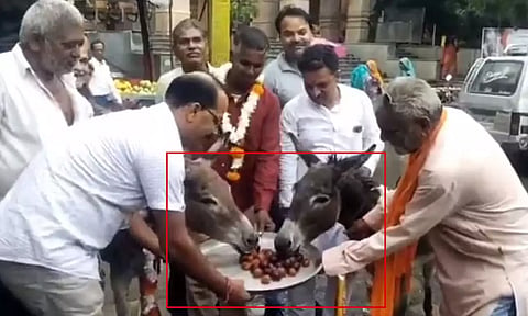 ஆண்டவா மழை பெய்யணும்.. கழுதைக்கு குலாப் ஜாமுன் கொடுத்த ஊர் மக்கள்..!