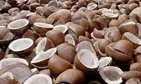 ஒழுங்குமுறை விற்பனை கூடத்தில் கொப்பரை தேங்காய் ஏலம்