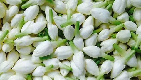 மல்லிகைப்பூ விலை கிலோ ரூ.500 ஆக உயர்வு