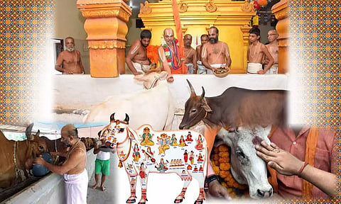 கோப்பு படம்.